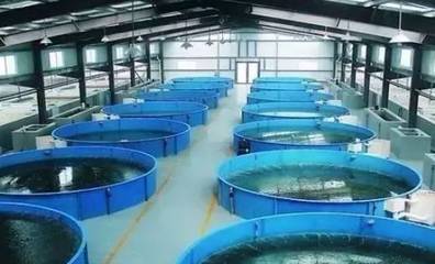 既要養(yǎng)好魚，又要護(hù)生態(tài) 一文秒懂《工廠化水產(chǎn)養(yǎng)殖系統(tǒng)》安裝指南